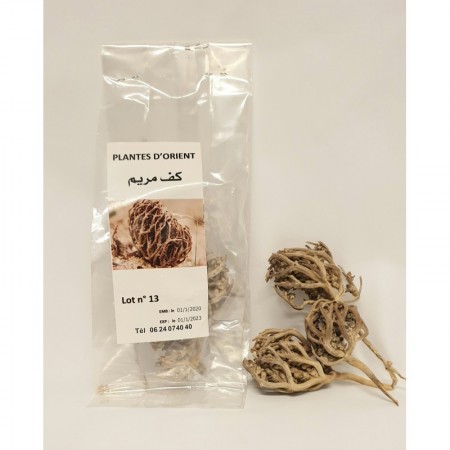 Rose de Jericho- Chajarat Maryem