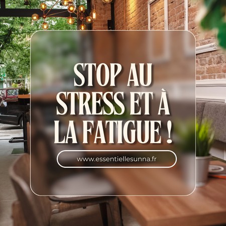 Replay Masterclass Stress fatigue+ ebook