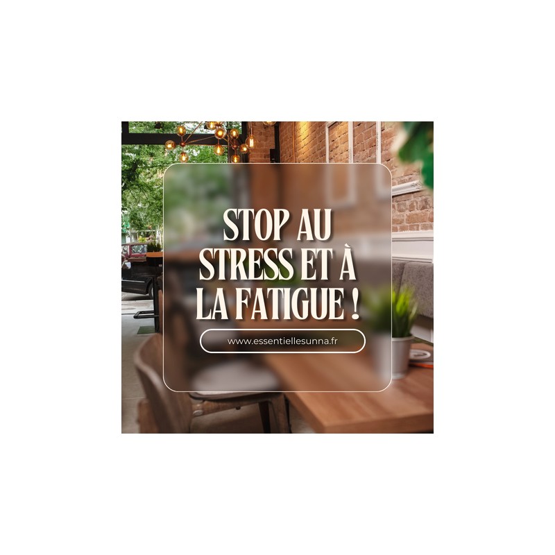 Replay Masterclass Stress fatigue+ ebook