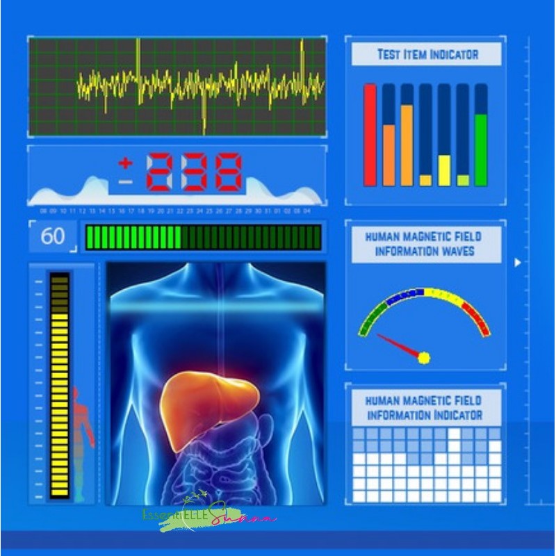 Analyseur quantique (Test Bilan)