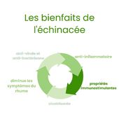 Qui a déjà utilisé de 'échinacee?⁠
⁠
#echinacee #inflammation #fatigue ##immunite #bienêtre ⁠
#santenaturelle #naturopathie #naturopathiecoaching #alimentation #alimentationsaine ⁠
#plantesmedicinales #naturopathe #remedenaturel #nutritherapie #micronutrition #complementalimentaire⁠ ⁠
#conseilsante #santedelefemme #medecinedouce⁠
⁠ #solutionnaturelle⁠
