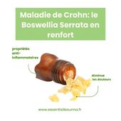 Le boswellia possède des vertus anti-inflammatoires intéressantes dans le cas de la maladie de Crohn

#ballonnements #crohn #boswellia⁠
#santenaturelle #naturopathie #naturopathiecoaching #inflammation #alimentationsaine ⁠
#troubledigestif #plantesmedicinales #naturopathe #remedenaturel #nutritherapie #micronutrition #complementalimentaire⁠ ⁠
#conseilsante #santedelefemme #medecinedouce⁠
#infusion ⁠ #solutionnaturelle
